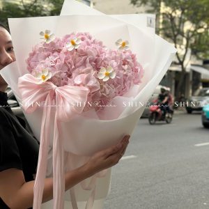 Hoa Bó 6 Cẩm Tú Cầu Hồng S677