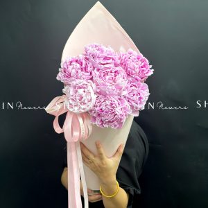 Hoa Bó cây Kem Mẫu Đơn 7 Peony Hồng Sarah S682