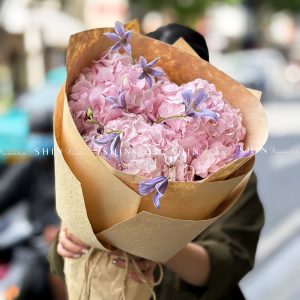 Bó Hoa 3 Cẩm Tú Cầu Mix Clematis tím S705