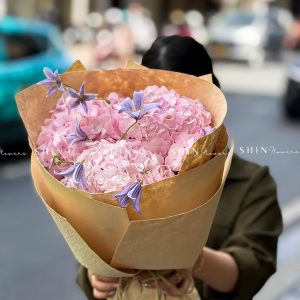 Bó Hoa 3 Cẩm Tú Cầu Mix Clematis tím S705