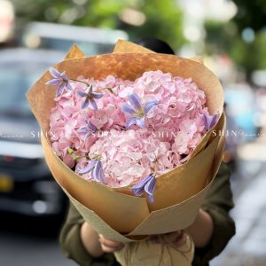 Bó Hoa 3 Cẩm Tú Cầu Mix Clematis tím S705