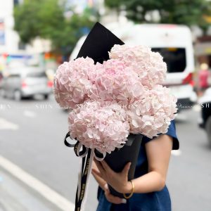 Kem hoa ốc quế Hoa Cẩm Tú Cầu Hồng S686