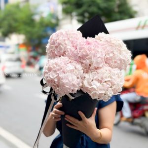 Kem hoa ốc quế Hoa Cẩm Tú Cầu Hồng S686