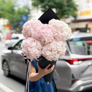 Kem hoa ốc quế Hoa Cẩm Tú Cầu Hồng S686