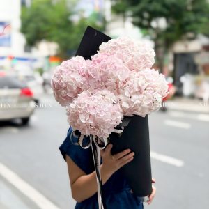Kem hoa ốc quế Hoa Cẩm Tú Cầu Hồng S686