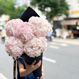 Kem hoa ốc quế Hoa Cẩm Tú Cầu Hồng S686