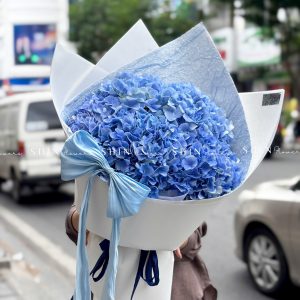 Bó Hoa 5 Cẩm Tú Cầu Xanh Nhập Khẩu S687