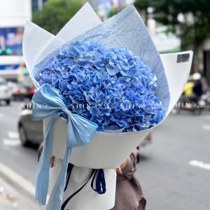 Bó Hoa 5 Cẩm Tú Cầu Xanh Nhập Khẩu S687