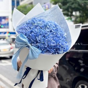 Bó Hoa 5 Cẩm Tú Cầu Xanh Nhập Khẩu S687