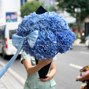 Kem hoa ốc quế Hoa Cẩm Tú Cầu Hồng S686