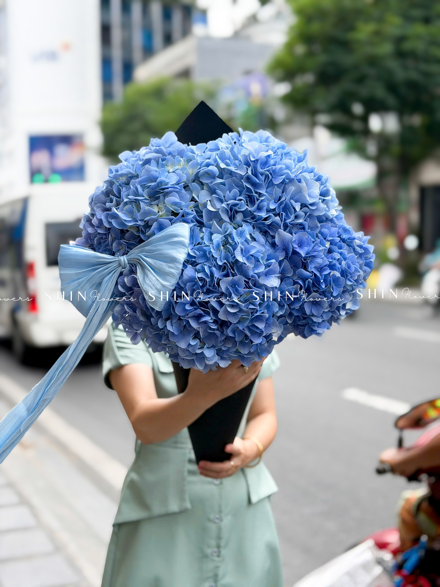 Kem hoa ốc quế Hoa Cẩm Tú Cầu Hồng S686