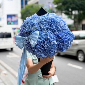 Kem hoa ốc quế Hoa Cẩm Tú Cầu Hồng S686