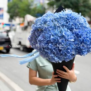 Kem hoa ốc quế Hoa Cẩm Tú Cầu Hồng S686