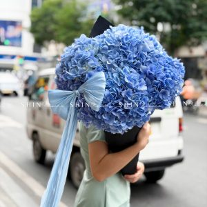 Kem hoa ốc quế Hoa Cẩm Tú Cầu Hồng S686