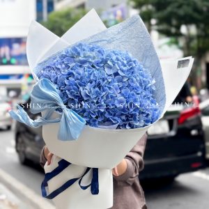 Bó Hoa 5 Cẩm Tú Cầu Xanh Nhập Khẩu S687