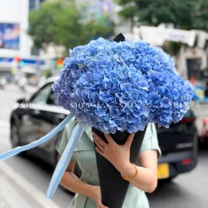 Kem hoa ốc quế Hoa Cẩm Tú Cầu Hồng S686