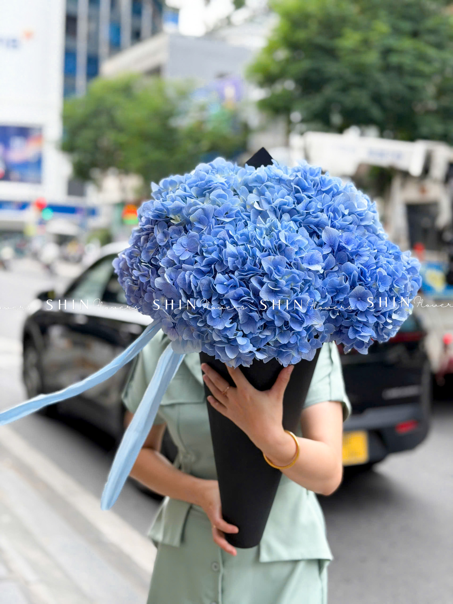 Kem hoa ốc quế Hoa Cẩm Tú Cầu Hồng S686