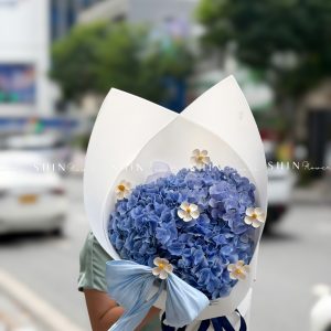 Bó Hoa 3 Cẩm Tú Cầu Xanh Nhập Khẩu S684