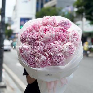 Hoa Bó 15 Peony - Mẫu đơn Hồng Sarah S688