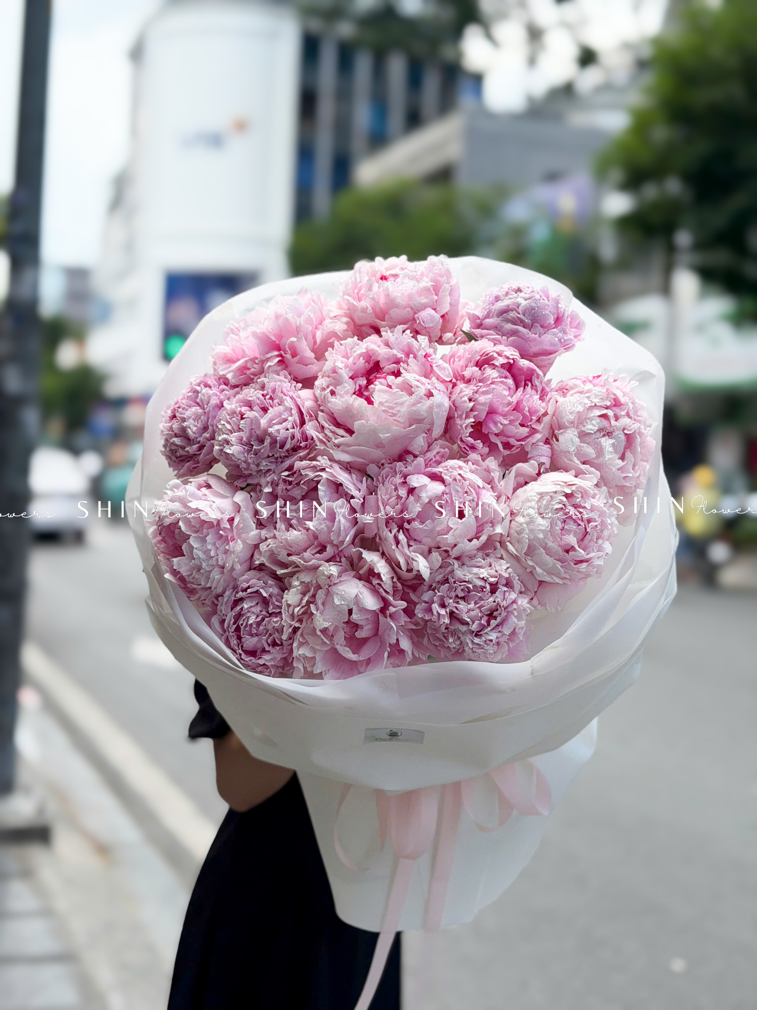 Hoa Bó 15 Peony - Mẫu đơn Hồng Sarah S688