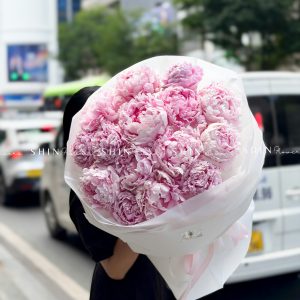 Hoa Bó 15 Peony - Mẫu đơn Hồng Sarah S688