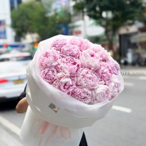 Hoa Bó 15 Peony - Mẫu đơn Hồng Sarah S688