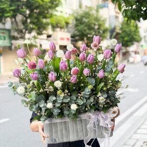 Hộp Hoa 20 Tulip Tím Hà Lan H159