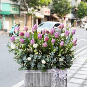 Hộp Hoa 20 Tulip Tím Hà Lan H159