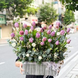 Hộp Hoa 20 Tulip Tím Hà Lan H159
