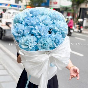 Bó Hoa 12 hoa Hồng Xanh Dương Celeste nhập Ecuador S691