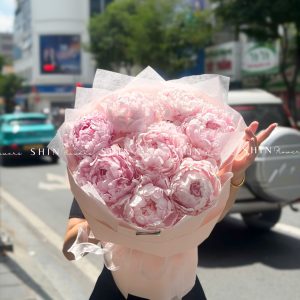 Hoa Bó 8 Peony - Mẫu đơn Hồng Pillow Talk S692