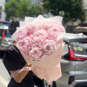 Hoa Bó 8 Peony - Mẫu đơn Hồng Pillow Talk S692