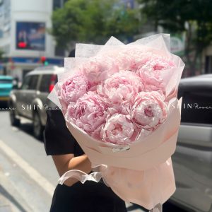 Hoa Bó 8 Peony - Mẫu đơn Hồng Pillow Talk S692
