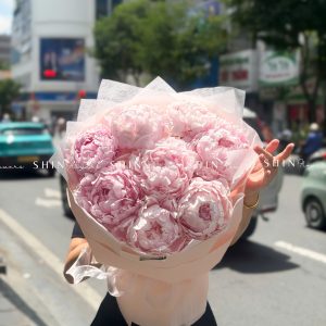 Hoa Bó 8 Peony - Mẫu đơn Hồng Pillow Talk S692
