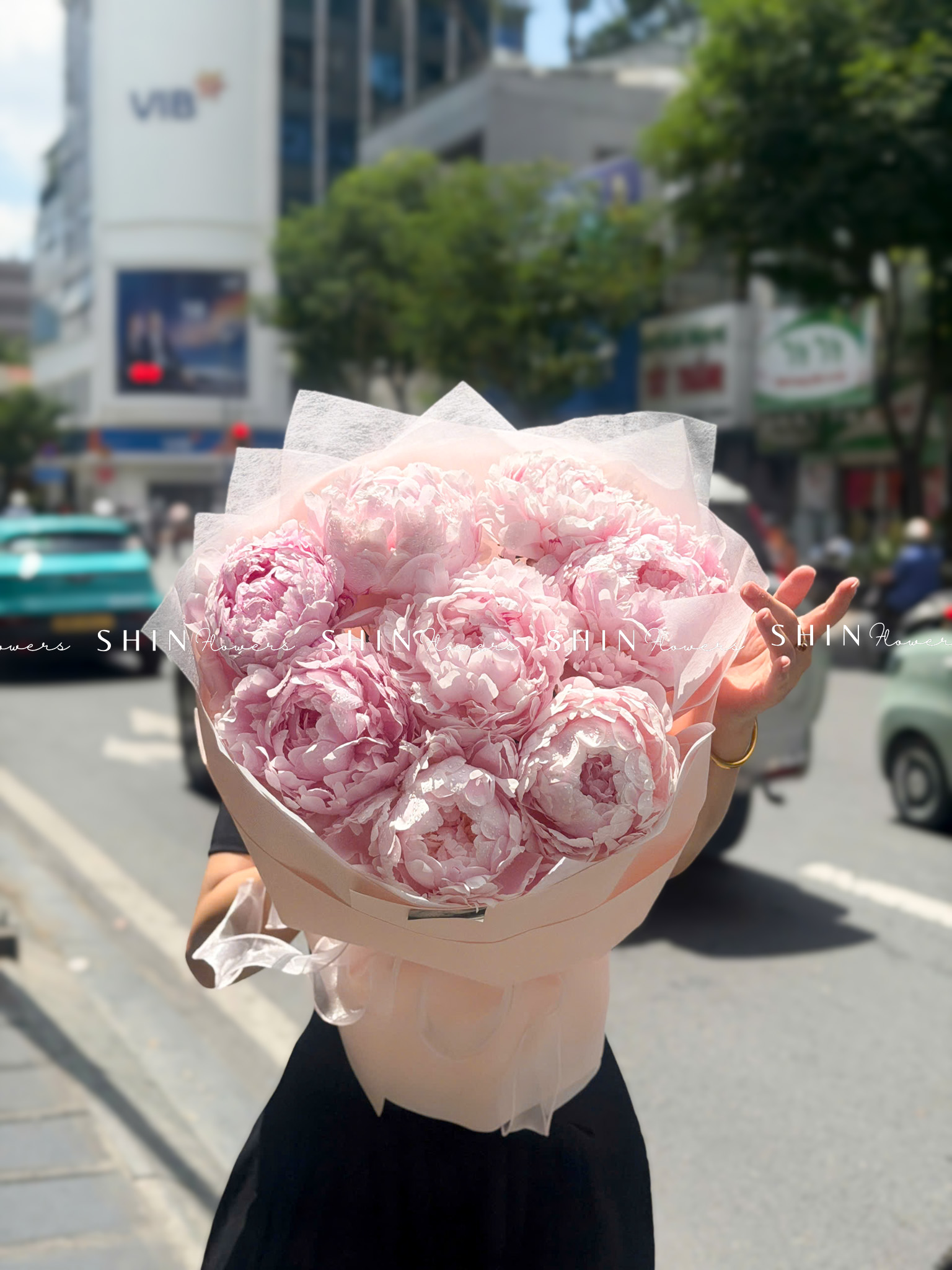 Hoa Bó 8 Peony - Mẫu đơn Hồng Pillow Talk S692