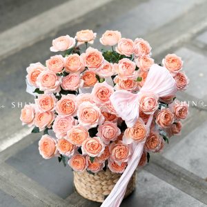 Giỏ hoa Hồng Julieta S161